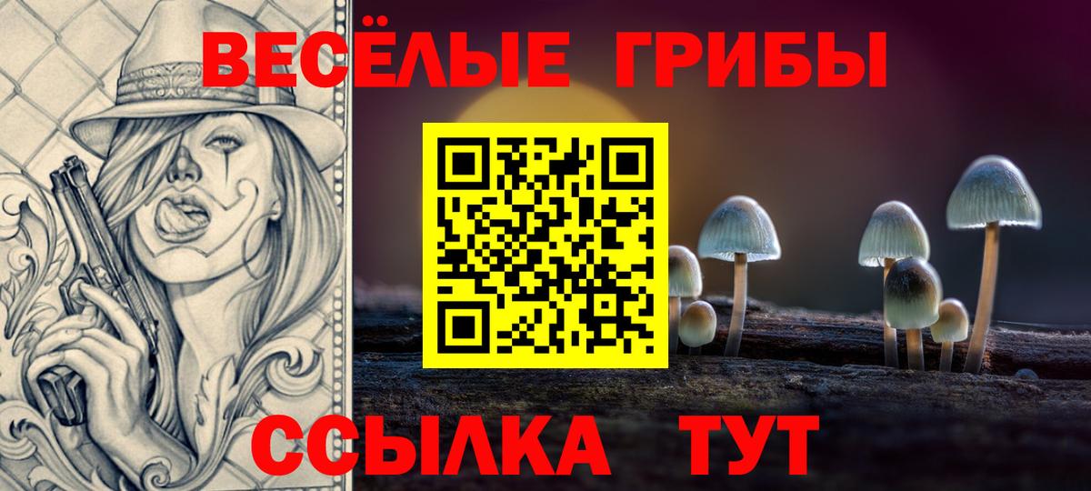 Алексин  Псилоцибиновые грибы прущие грибы  Вход с VPN 
